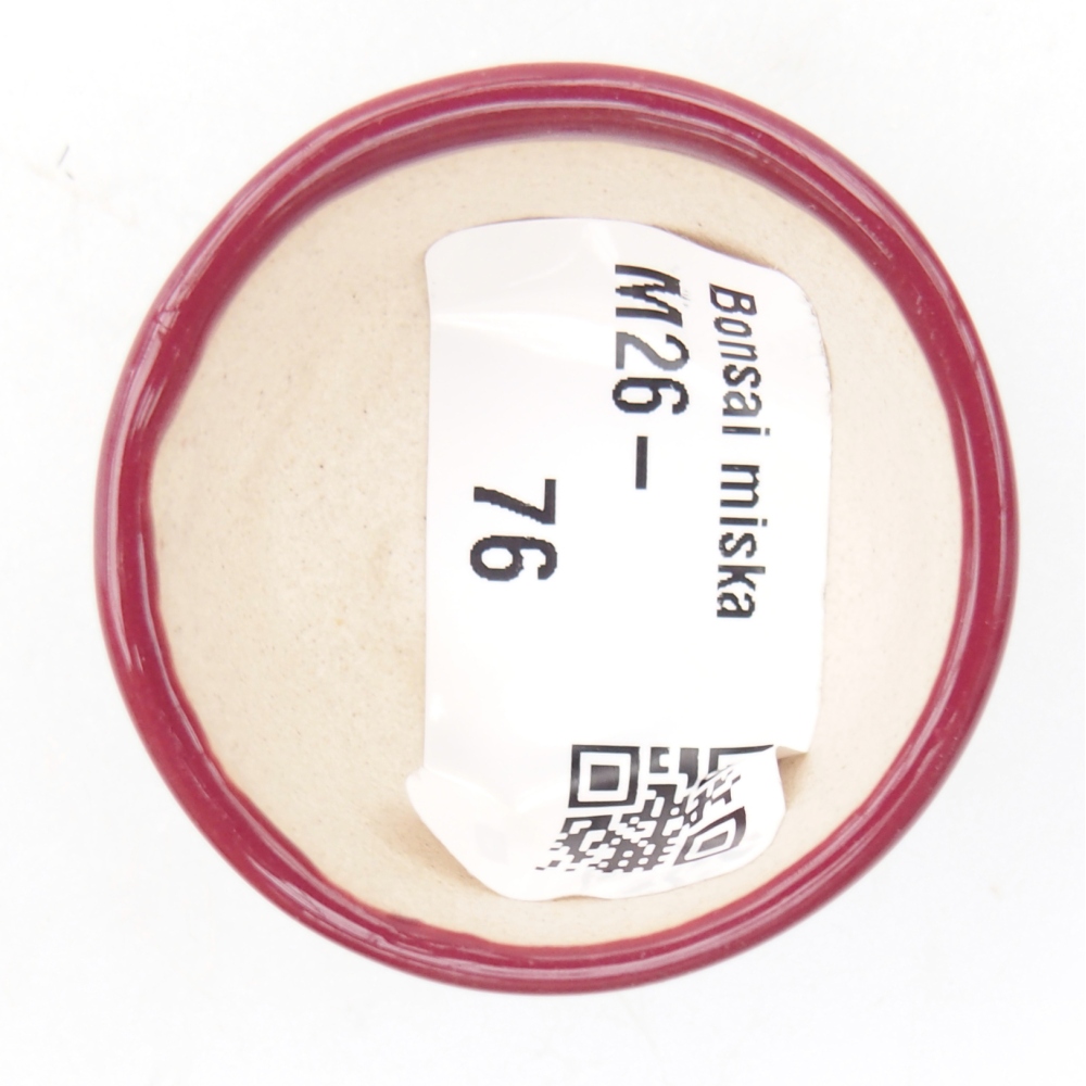 Mini-Bonsaischale 4 x 4 x 2 cm, bordeauxrot