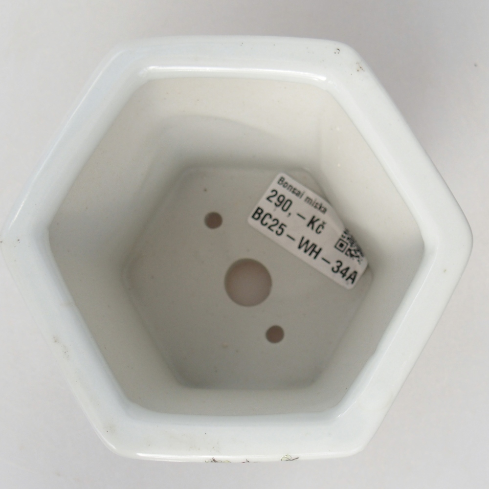 Bonsaischale aus Keramik 10,5 x 9,5 x 9 cm, Farbe weiß