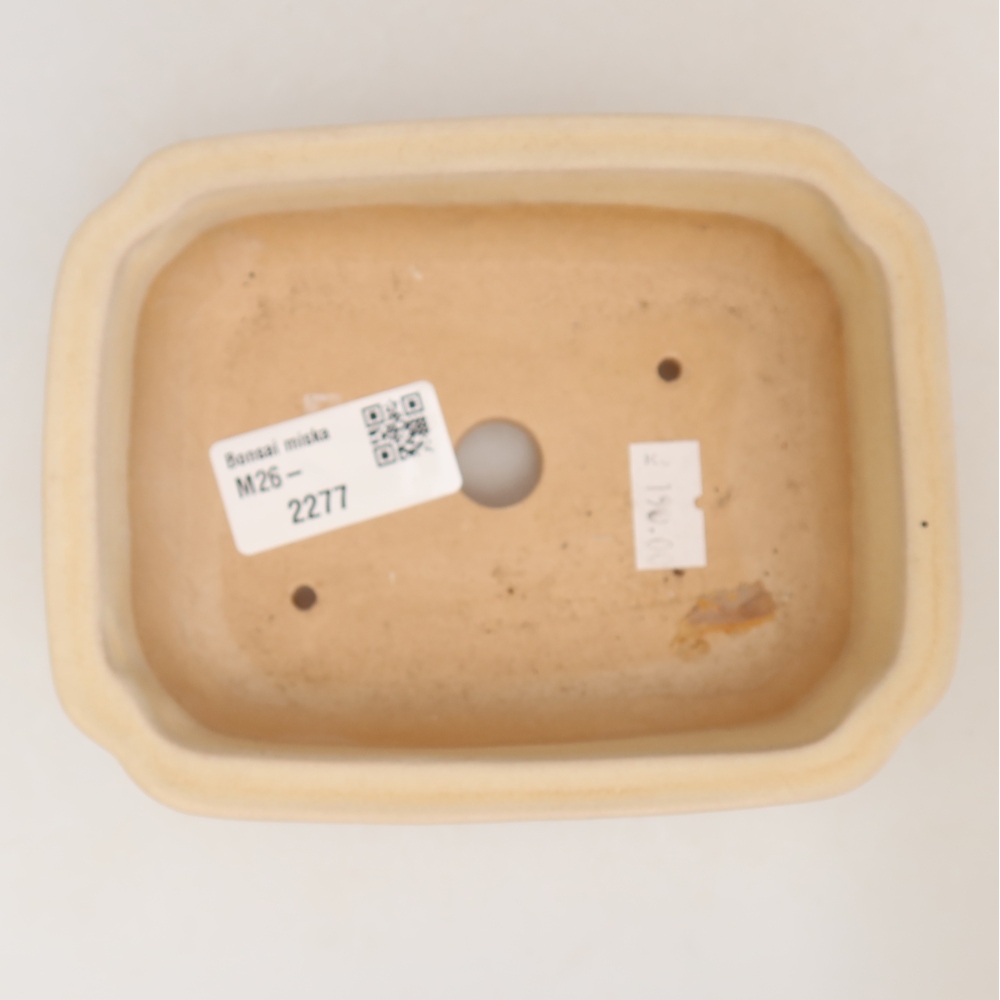 Bonsaischale aus Keramik 14 x 11 x 4 cm, Farbe beige