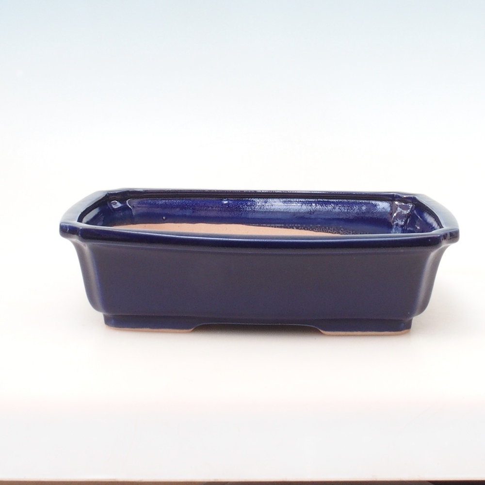Bonsaischale H07 - 30 x 20,5 x 8 cm - blau