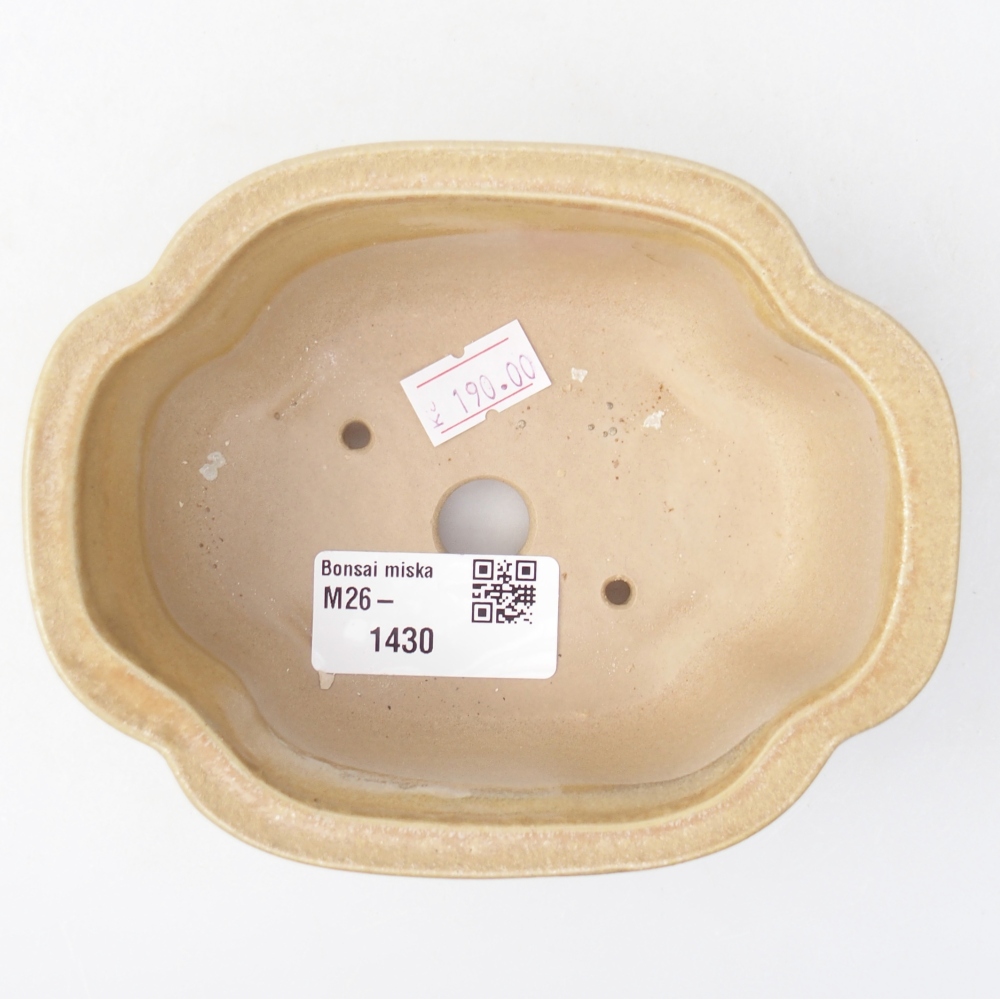 Bonsaischale aus Keramik 13 x 10 x 5 cm, Farbe beige