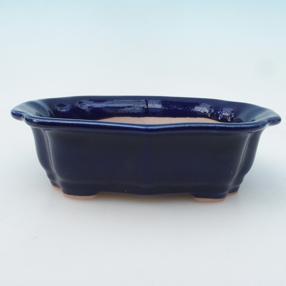 Bonsaischale + Untertasse H51 - 18x14x5 cm - blau