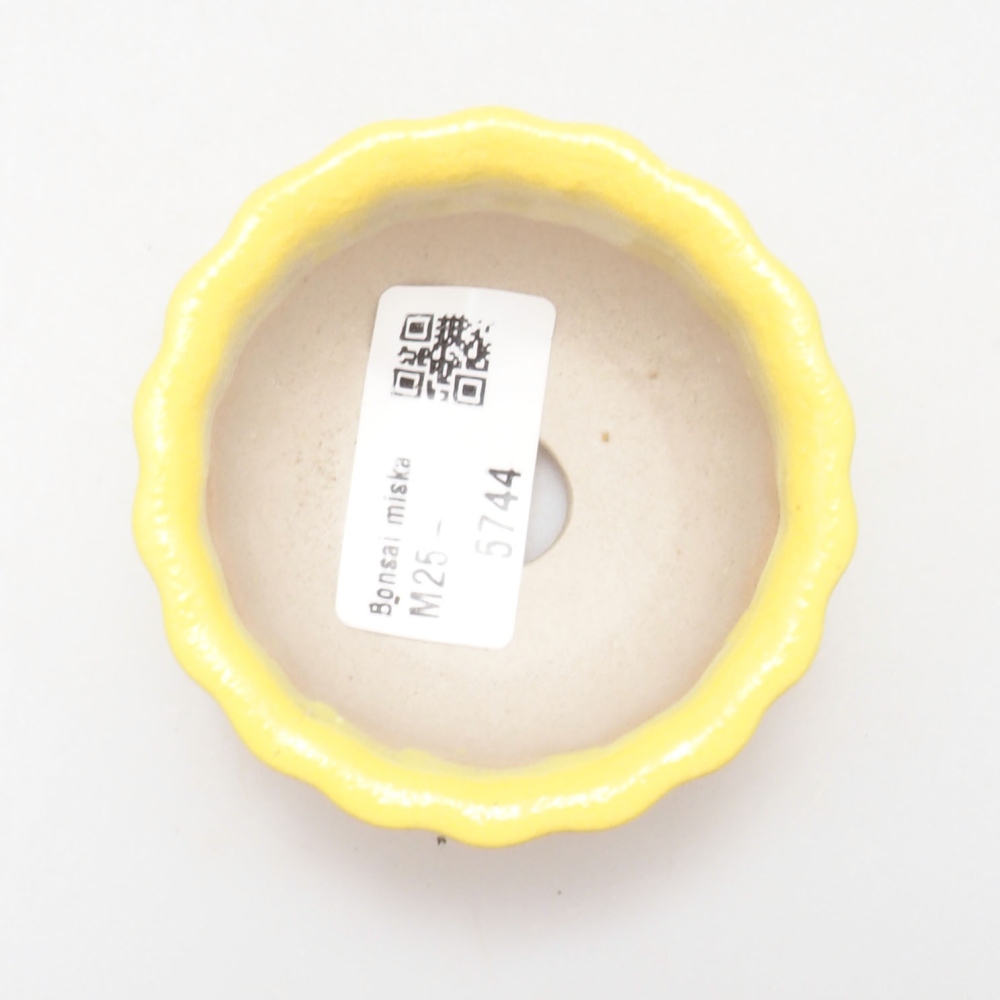 Bonsaischale aus Keramik 7 x 3 x 3,5 cm, gelb