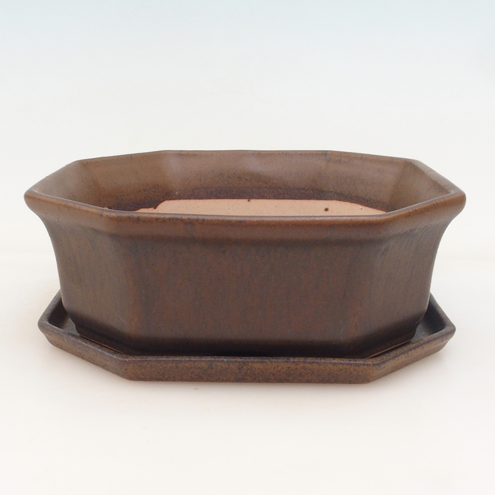 Bonsaischale + Untertasse H14 - braun