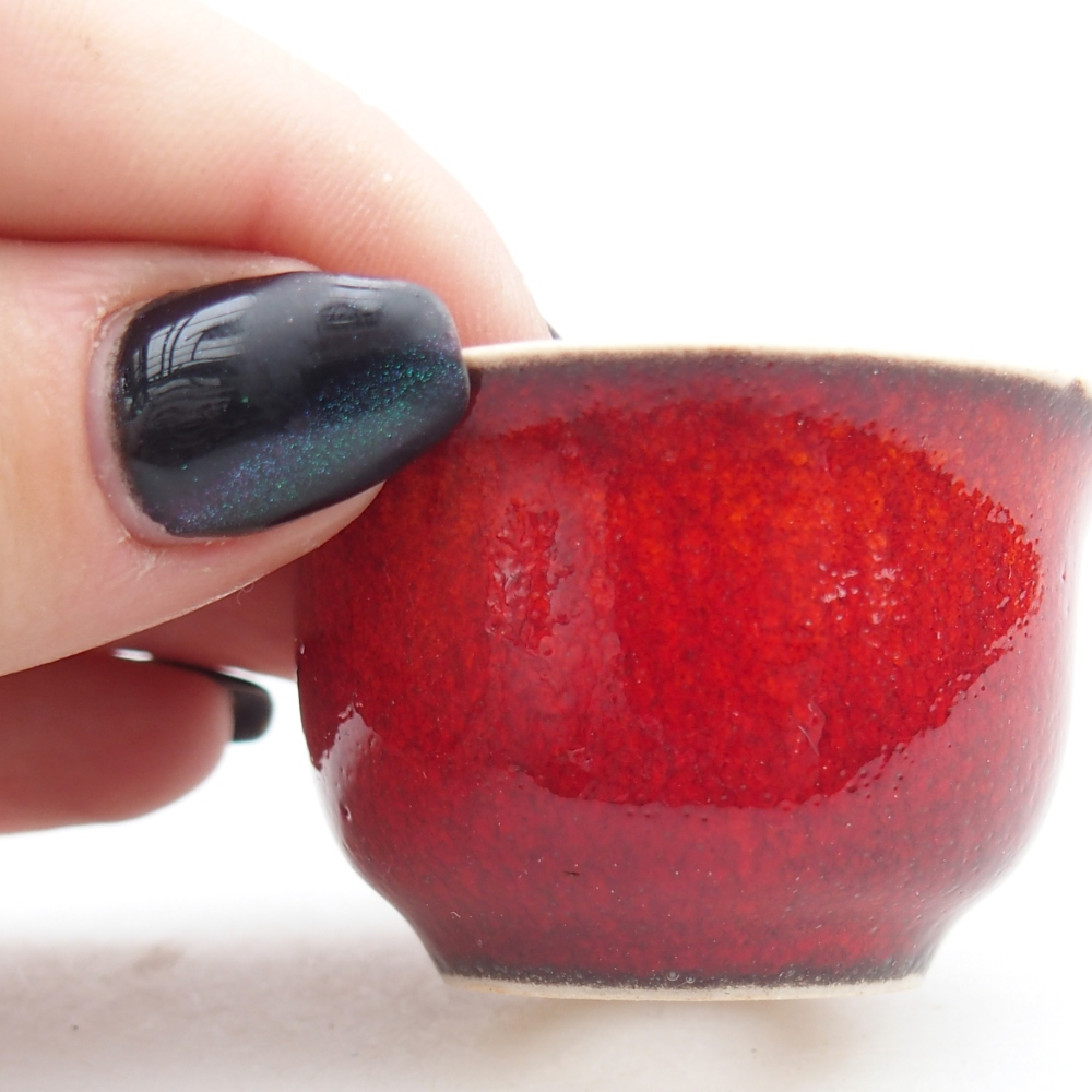 Mini-Bonsaischale 5 x 5 x 3 cm, Farbe rot
