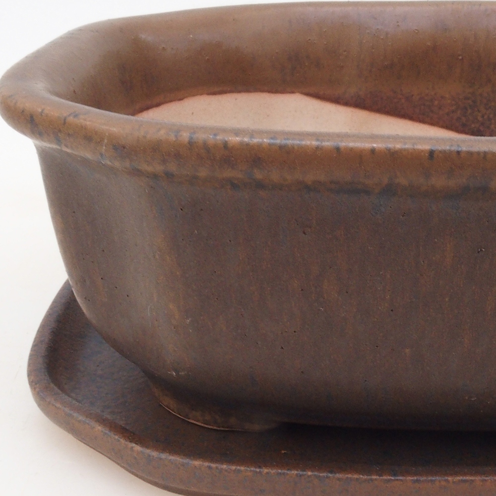 Bonsaischale + Untertasse H31 - braun