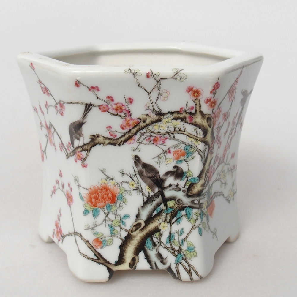 Bonsaischale aus Keramik 10,5 x 9,5 x 9 cm, Farbe weiß