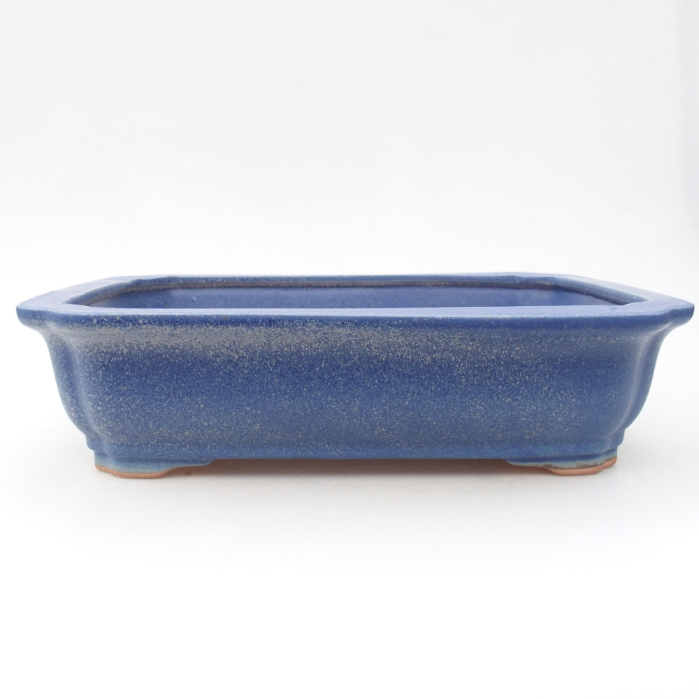 Bonsaischale aus Keramik 28 x 22 x 7 cm, Farbe blau