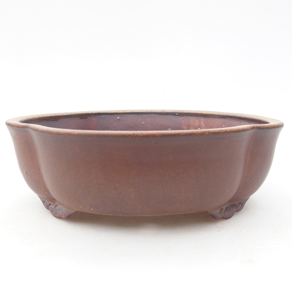 Bonsaischale aus Keramik 17 x 15,5 x 5,5 cm, braun