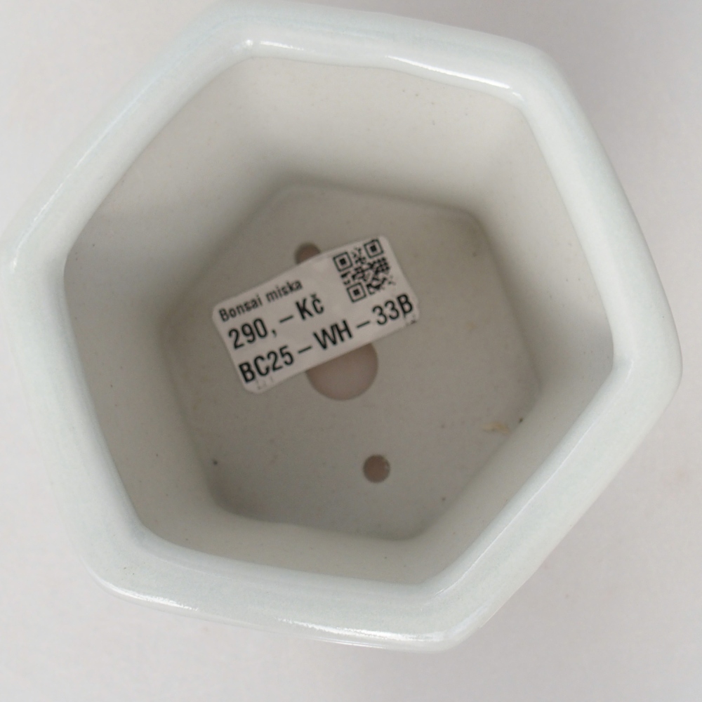 Bonsaischale aus Keramik 10,5 x 9,5 x 9 cm, Farbe weiß