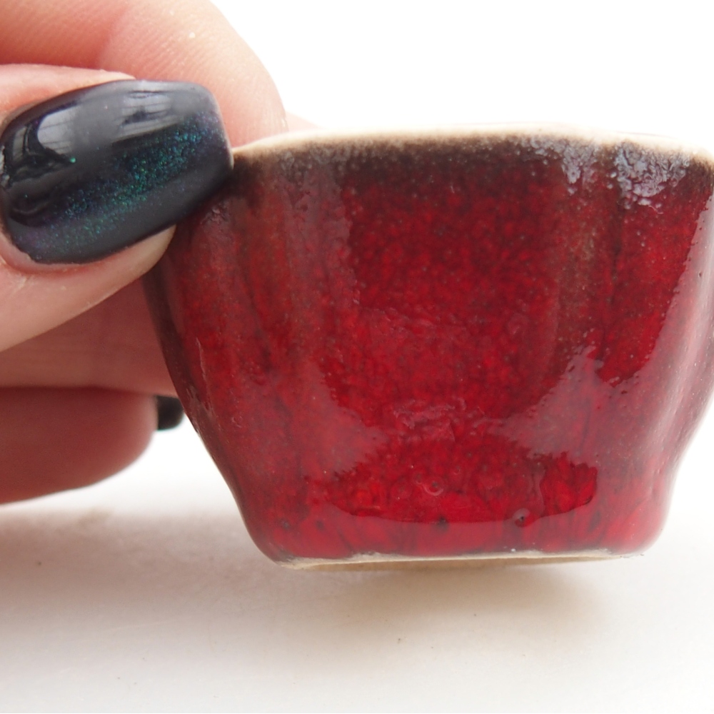 Mini-Bonsaischale 4,5 x 4,5 x 2,5 cm, Farbe rot