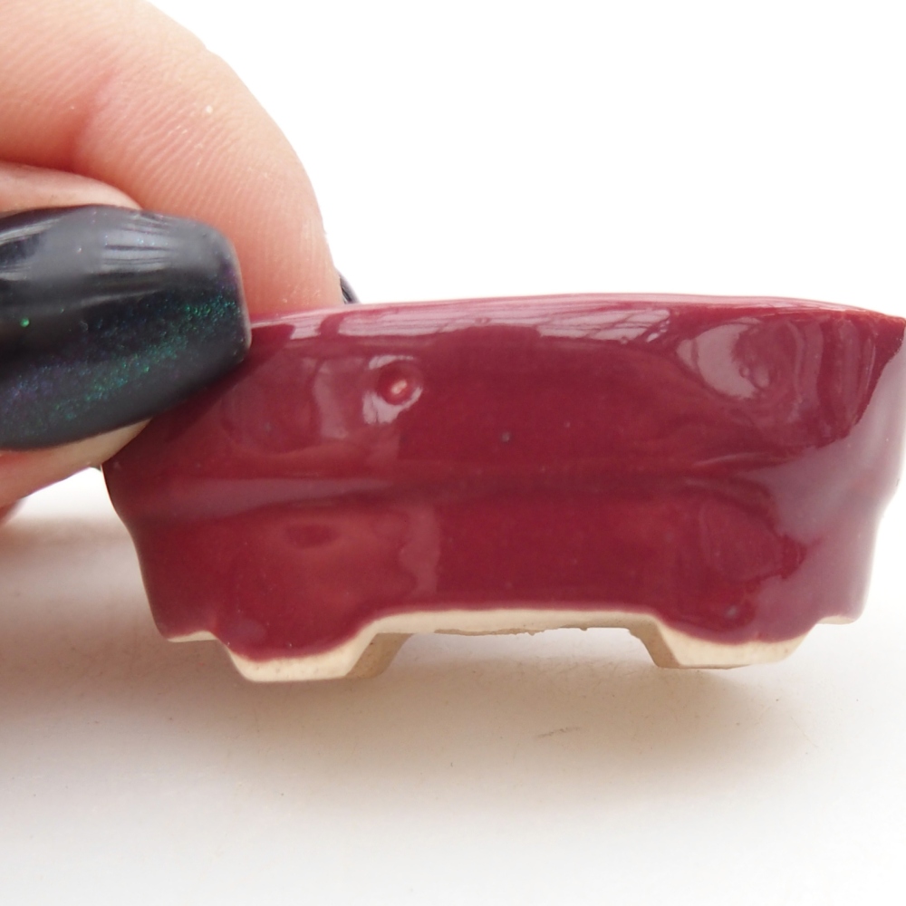 Mini-Bonsaischale 4 x 2,5 x 2 cm, bordeauxrot