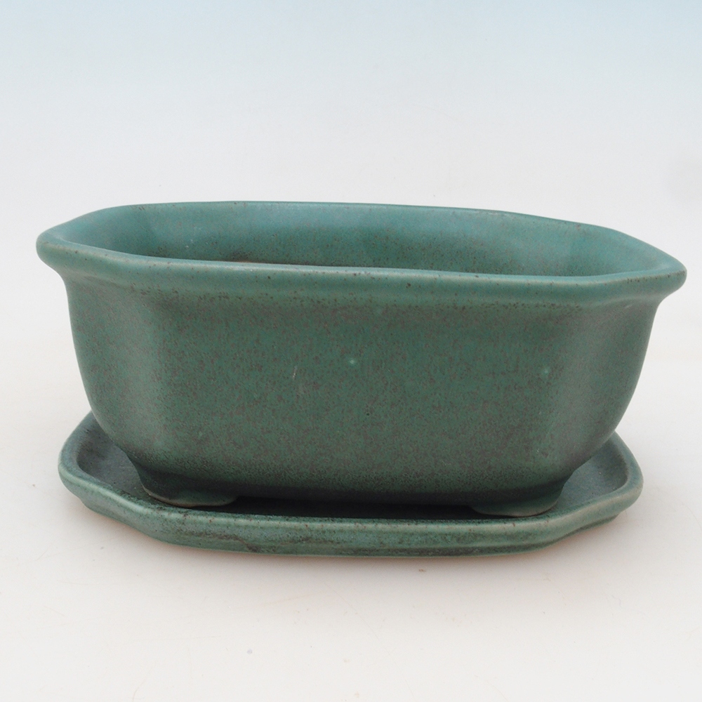 Bonsaischale + Untertasse H31 - grün