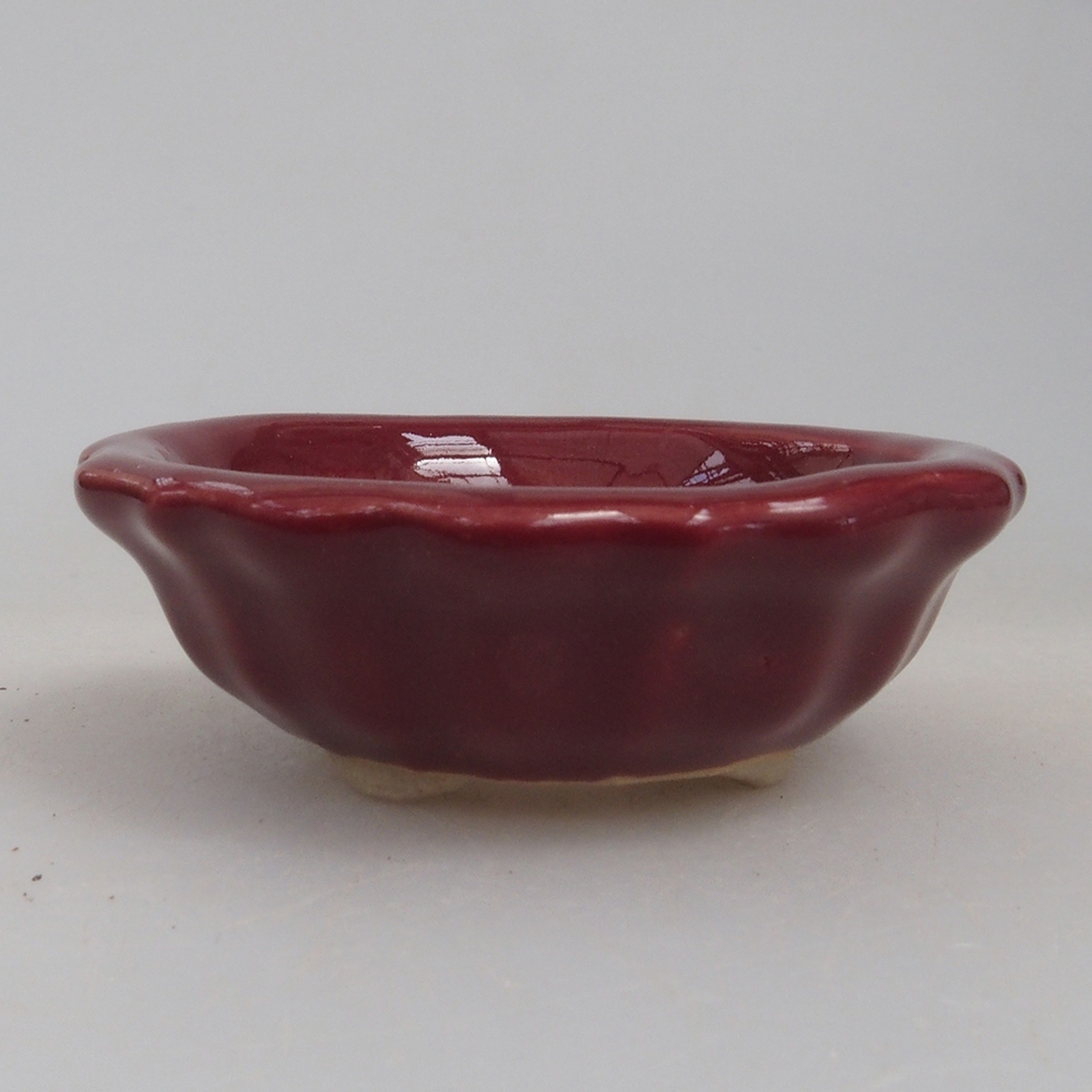 Mini-Bonsaischale 5 x 5 x 1,5 cm, Farbe burgunderrot