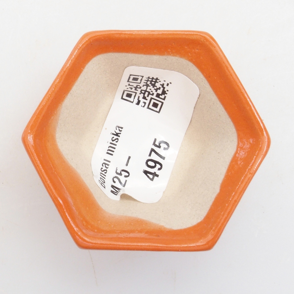 Mini-Bonsaischale 5 x 4,5 x 2,5 cm, orange