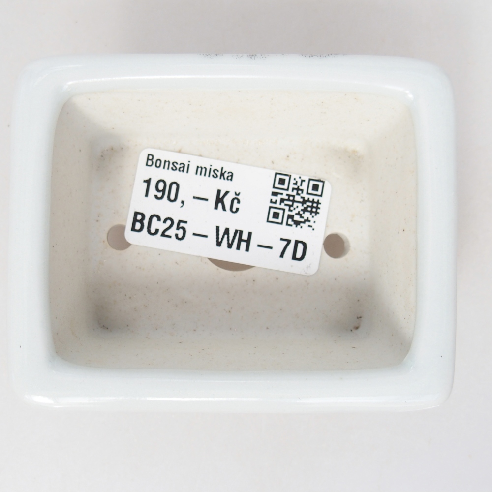 Mini-Bonsaischale 8 x 6 x 3 cm, weiß