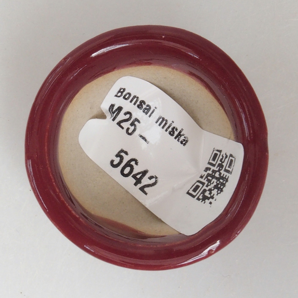 Mini-Bonsaischale 4 x 4 x 2 cm, bordeauxrot