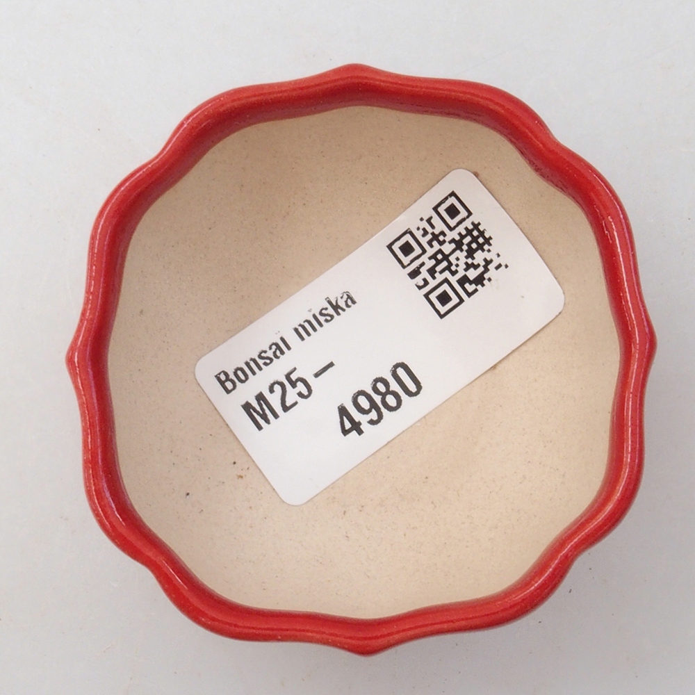 Mini-Bonsaischale 6 x 5,5 x 2,5 cm, Farbe rot