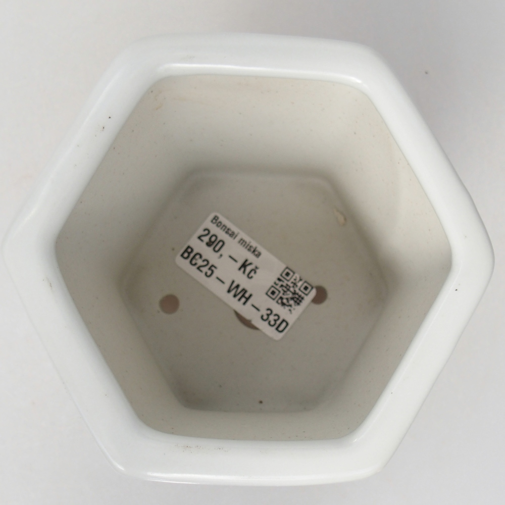 Bonsaischale aus Keramik 10,5 x 9,5 x 9 cm, Farbe weiß