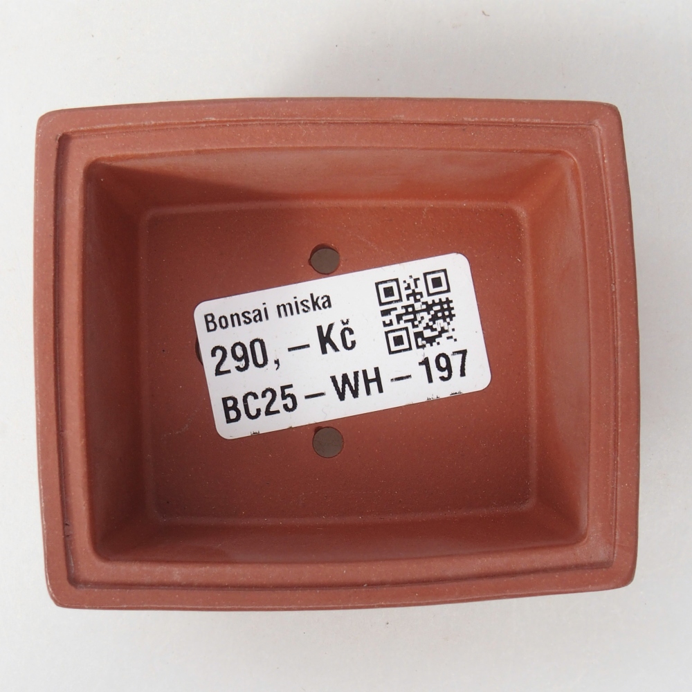 Mini-Bonsaischale 7,5 x 6,5 x 3 cm, ziegelfarben