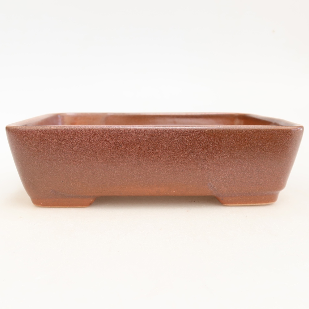 Keramik-Bonsai-Schale 18 x 13 x 5 cm, Farbe: weinrot