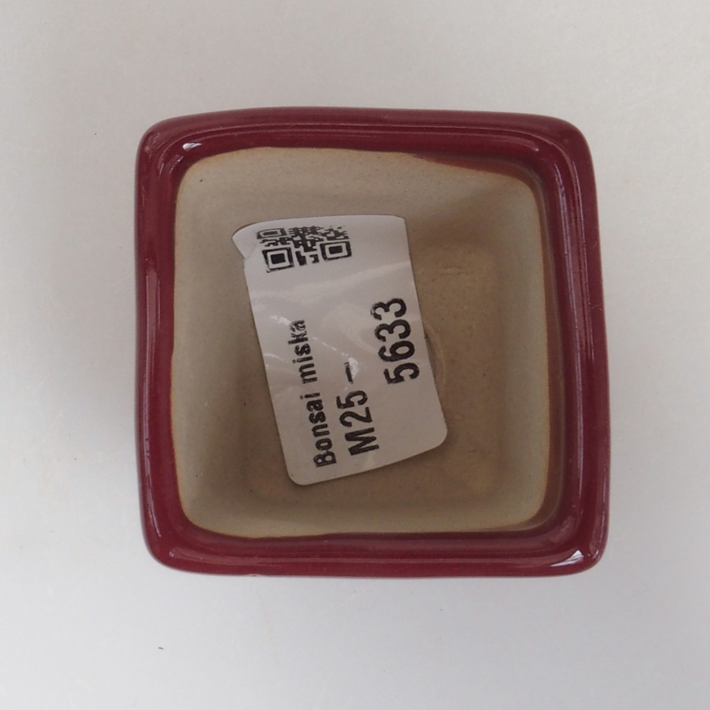 Mini-Bonsaischale 4,5 x 4,5 x 4,5 cm, bordeauxrot