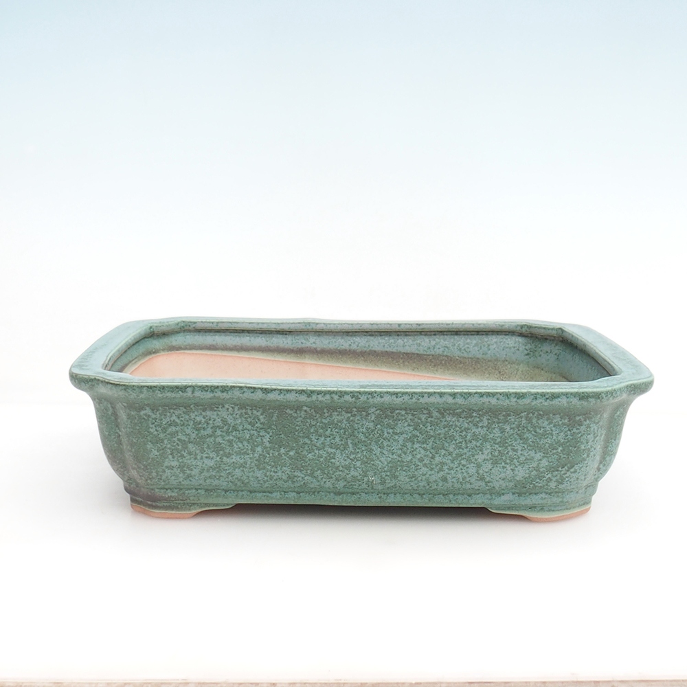 Bonsaischale H07 - 30 x 20,5 x 8 cm.