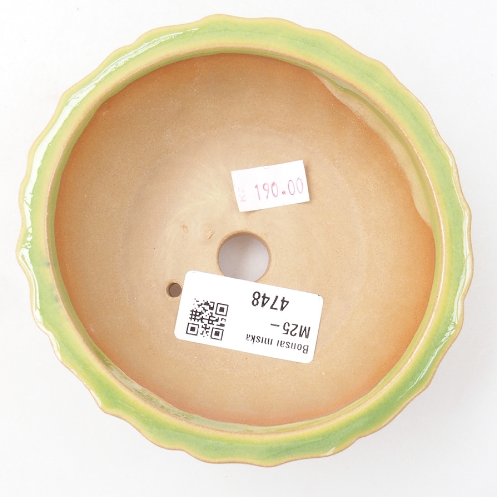 Bonsaischale aus Keramik 11 x 11 x 5 cm, grün