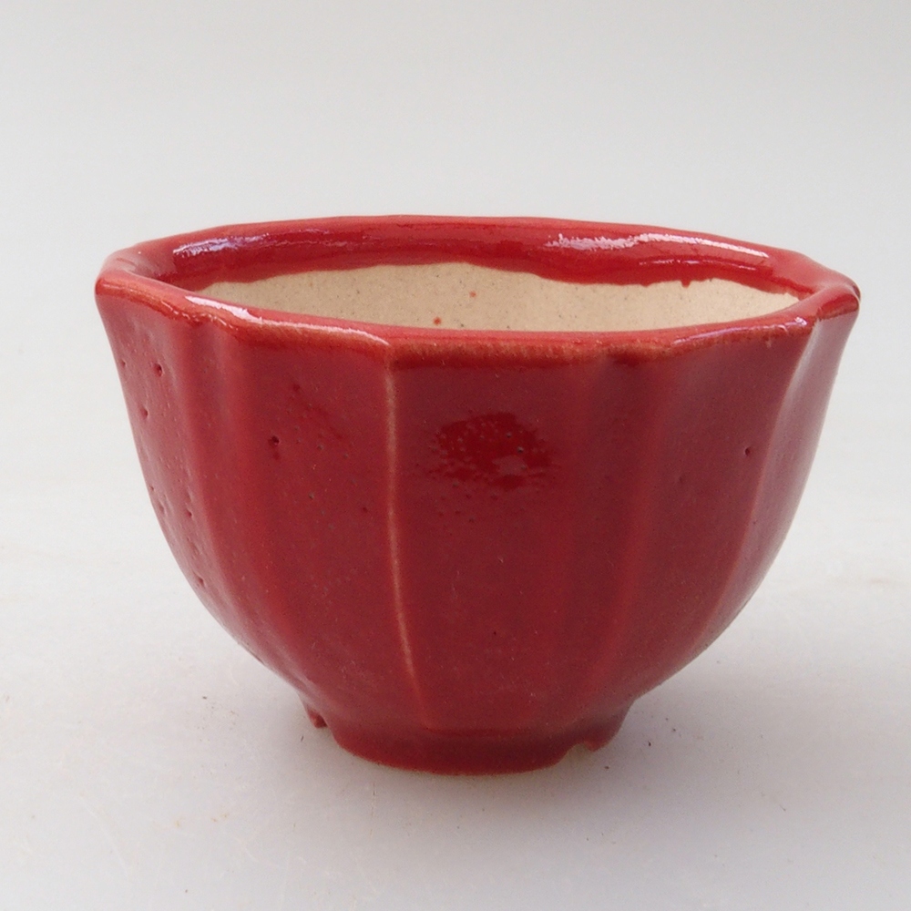 Mini-Bonsaischale 5 x 5 x 3 cm, Farbe rot