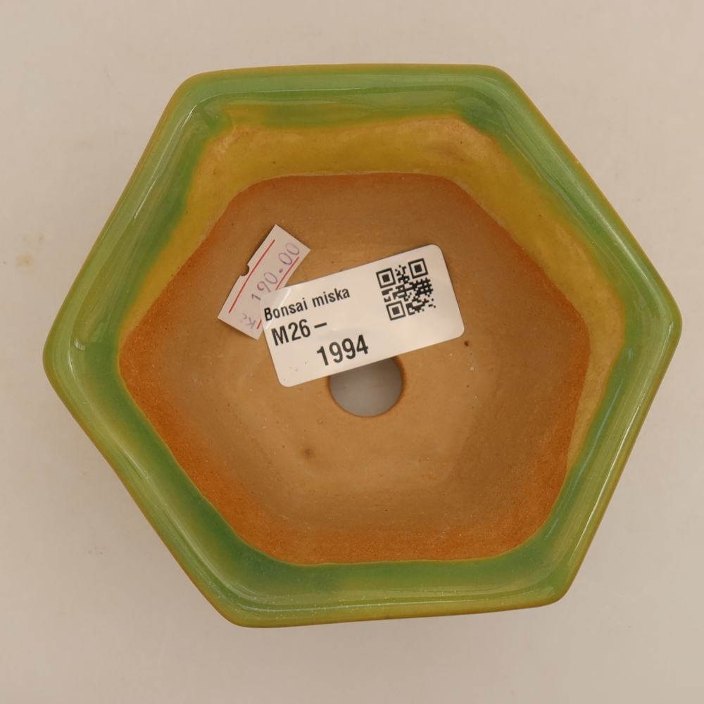 Keramik-Bonsai-Schale 10,5 x 9,5 x 5,5 cm, Farbe: grün