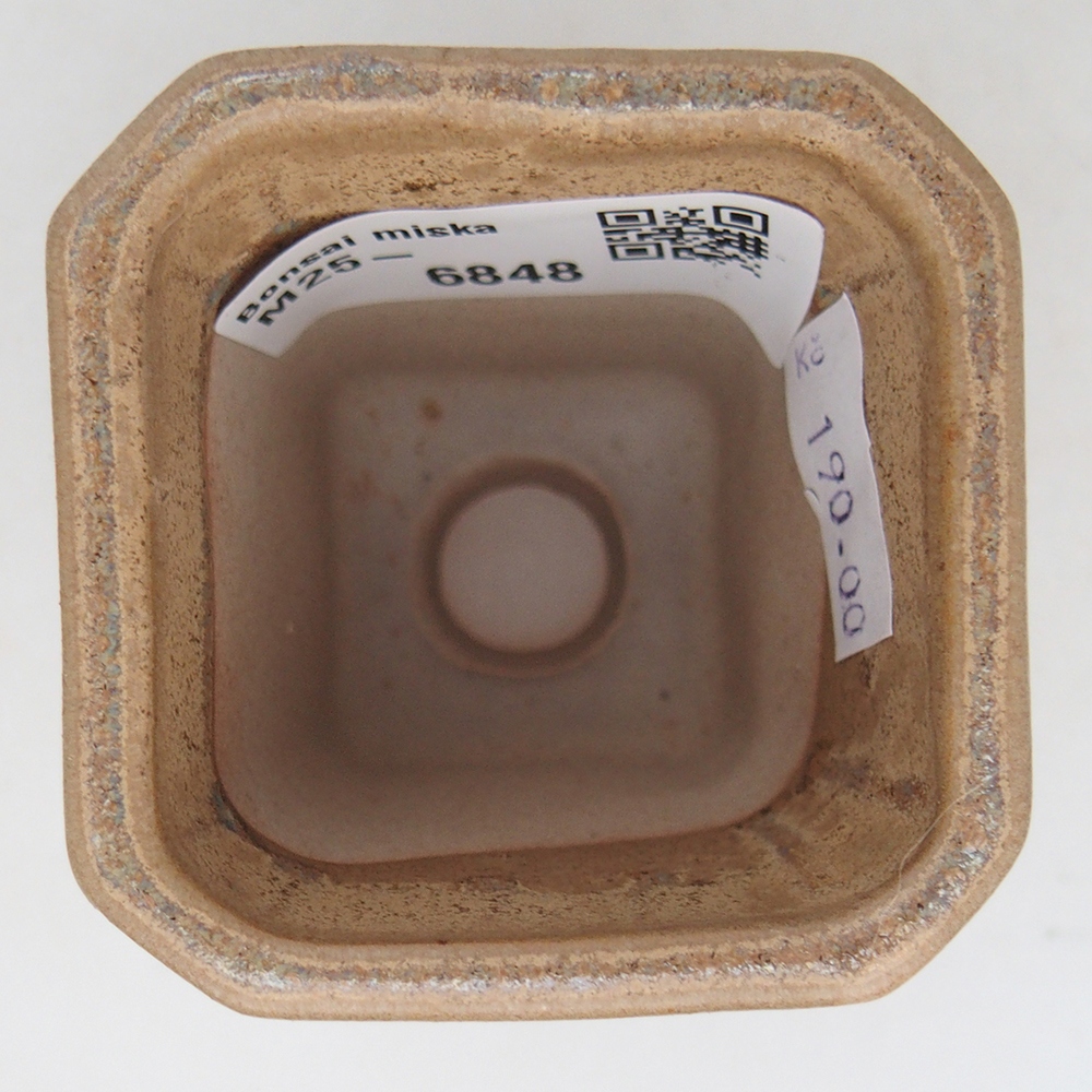 Bonsaischale aus Keramik 5,5 x 5,5 x 7 cm, Farbe beige