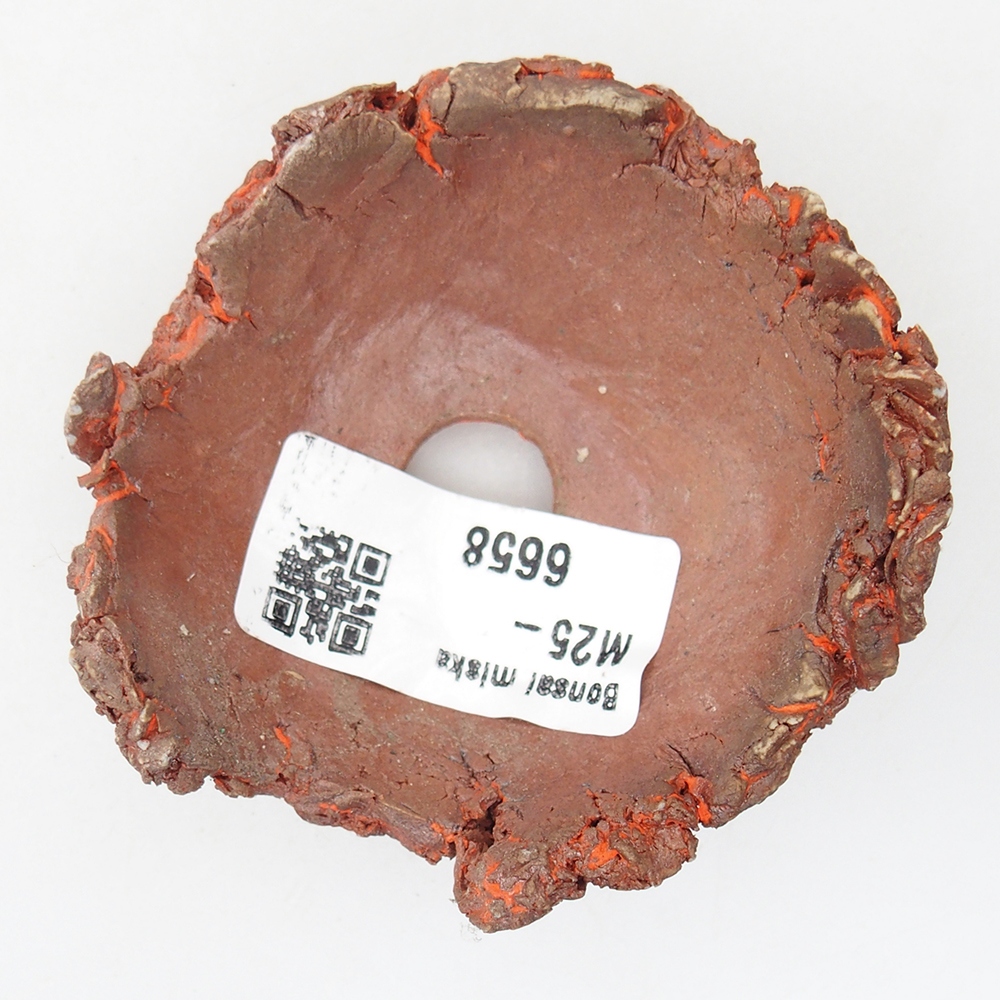 Keramische Muschel 7 x 7 x 4 cm , Farbe orange