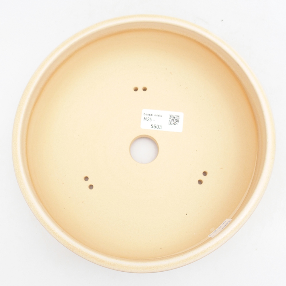 Bonsaischale aus Keramik 21,5 x 21,5 x 7 cm, Farbe beige