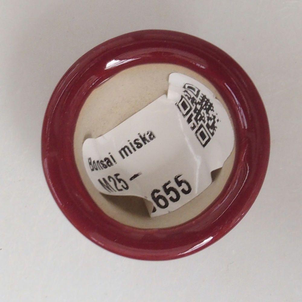 Mini-Bonsaischale 3,5 x 3,5 x 2,5 cm, bordeauxrot