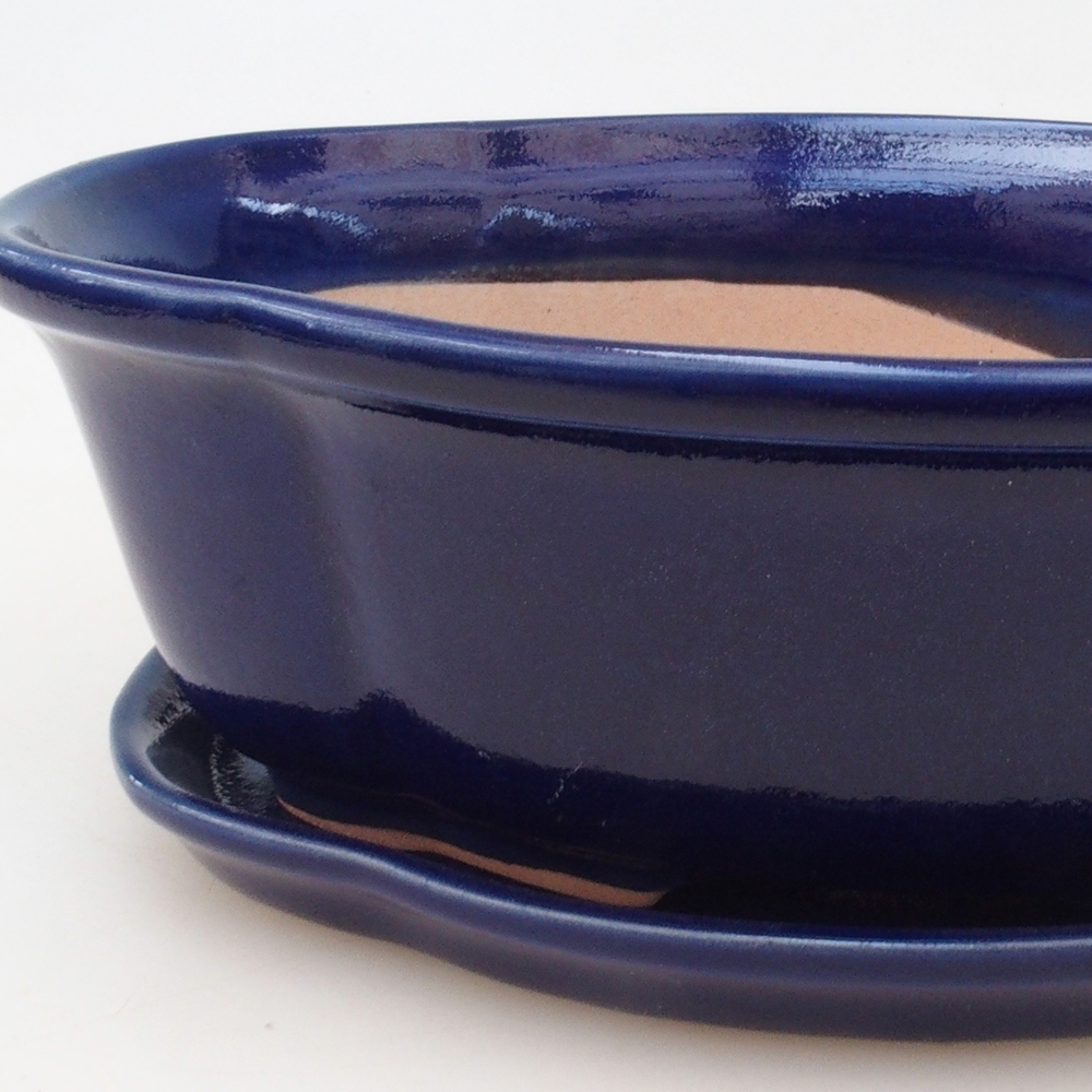 Bonsaischale + Untertasse H75 - blau