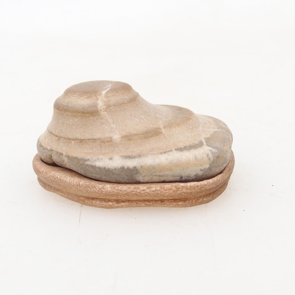 Suiseki - Stein mit DAI (Holzsockel)