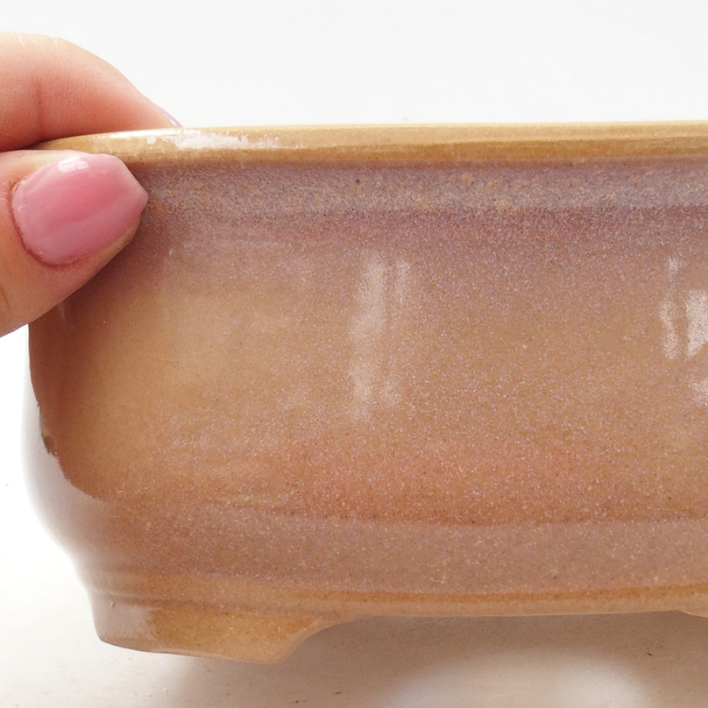 Bonsaischale aus Keramik 15,5 x 12 x 5,5 cm, Farbe beige