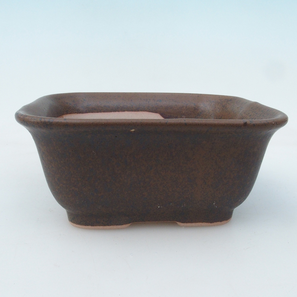 Bonsaischale H38 - 12 x 10 x 5,5 cm - braun