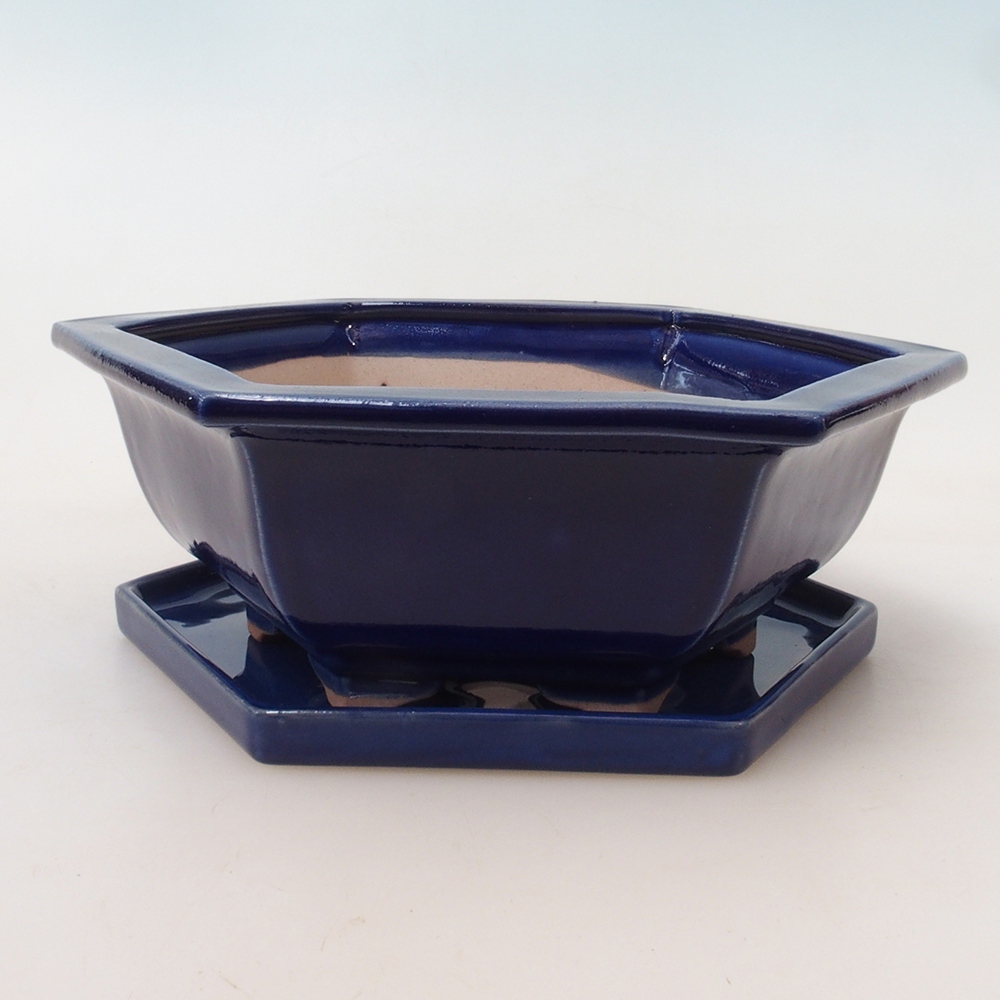 Bonsaischale + Untertasse H53 - 19 x 21,5 x 7 cm - blau
