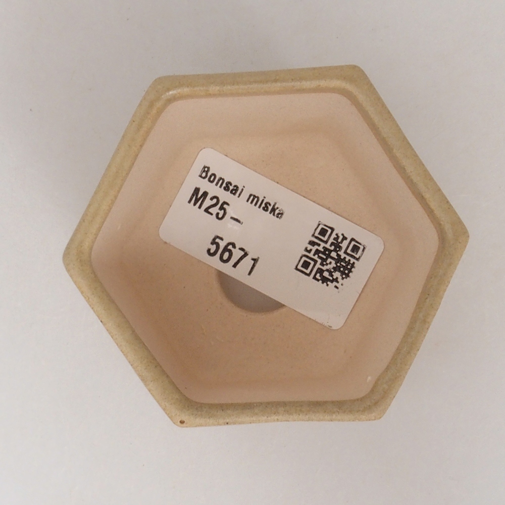 Mini-Bonsaischale 7 x 5,5 x 4,5 cm, braun