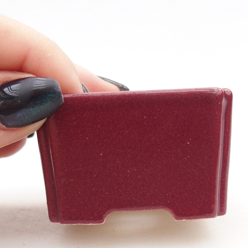 Mini-Bonsaischale 5 x 5 x 3 cm, bordeauxrot