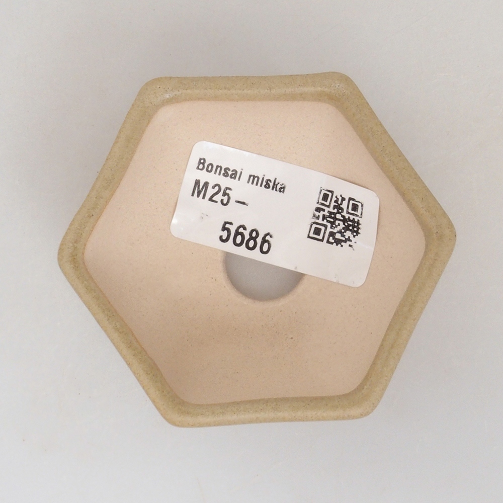 Mini-Bonsaischale 6,5 x 6 x 2,5 cm, braun