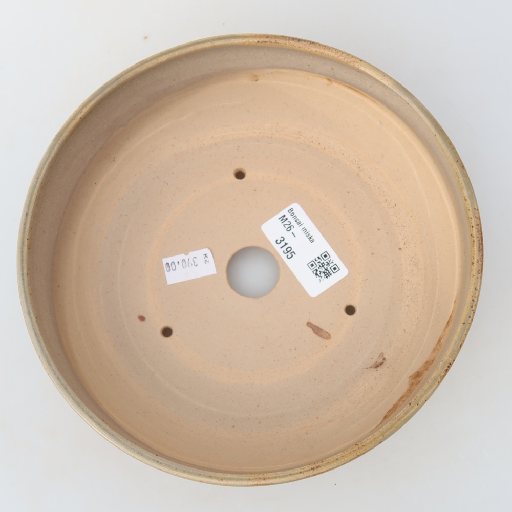 Keramik-Bonsai-Schale, 17,5 × 17,5 × 6 cm, Farbe: Beige