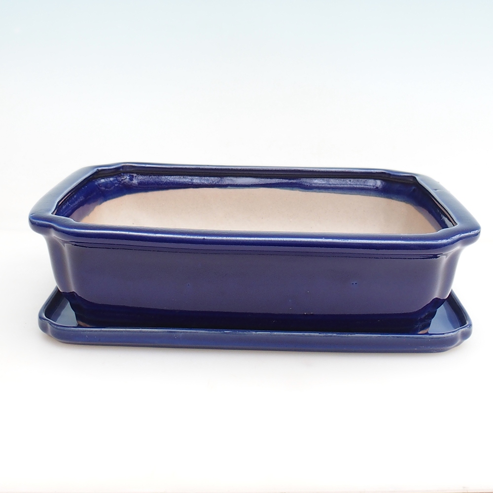 Bonsaischale + Untertasse H07 - 30 x 20,5 x 8 cm.