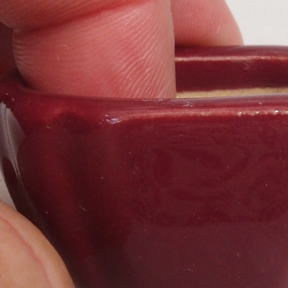 Mini-Bonsaischale 4,5 x 4,5 x 2,5 cm, bordeauxrot