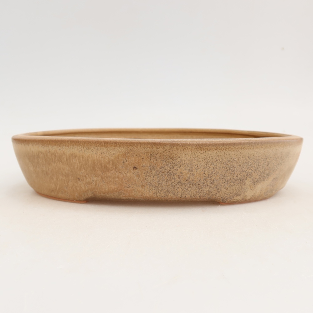 Bonsaischale aus Keramik 22 x 17 x 4 cm, Farbe beige
