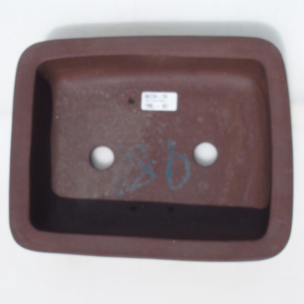 Bonsaischale 30 x 24 x 7,5 cm Birke braun