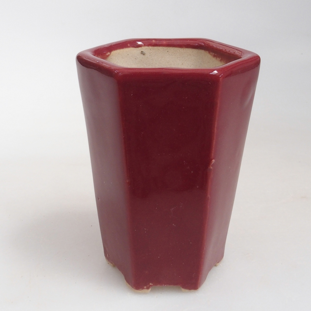 Mini-Bonsaischale 4,5 x 4 x 6 cm, bordeauxrot