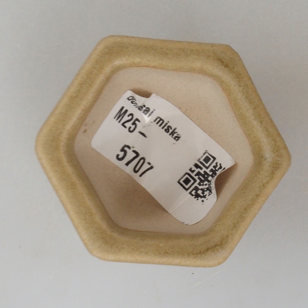 Mini-Bonsaischale 5 x 4,5 x 3 cm, braun