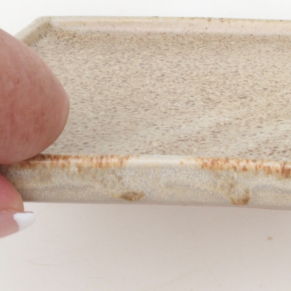 Bonsaischale quadratisch L - 14 x 14 x 1 cm - beige